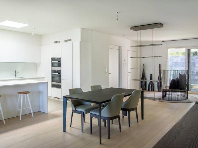 Apartment kaufen in Paradiso, Tessin