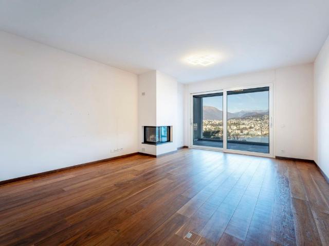 Apartment kaufen in Paradiso, Tessin