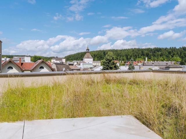 Apartment kaufen in Buchleiten, Aurachamhongar