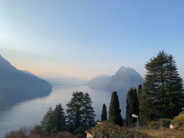 Apartment kaufen in Aldesago, Tessin