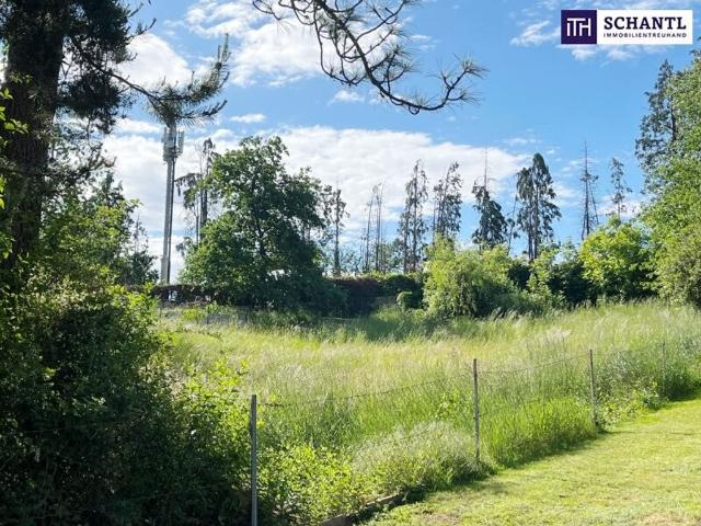 Apartment kaufen in Gersdorf-Feistritz, Steiermark