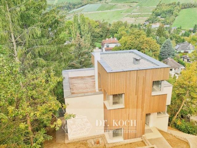 Apartment kaufen in Klosterneuburg, Bezirk Tulln