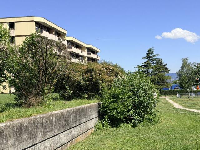 Apartment kaufen in Tolochenaz, Waadt
