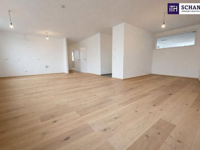 Apartment kaufen in Traiskirchen, Niederösterreich