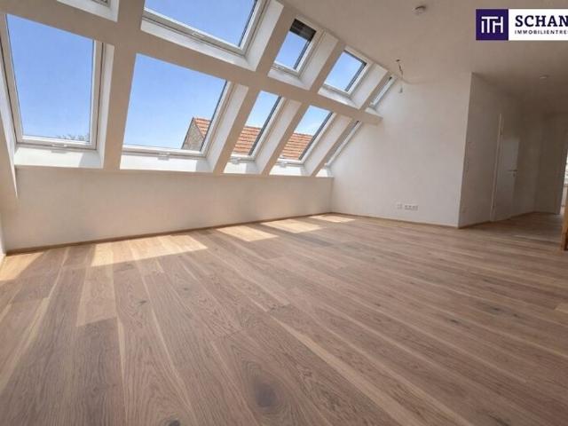 Apartment kaufen in Traiskirchen, Niederösterreich