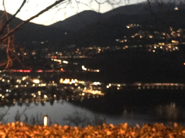 Apartment kaufen in Paradiso, Tessin