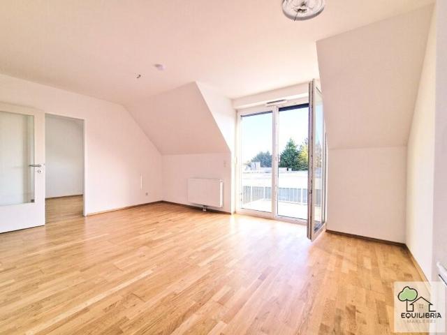 Apartment mieten in Möllersdorf, Traiskirchen