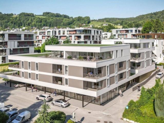 Apartment kaufen in Ebenzweier, Altmünster