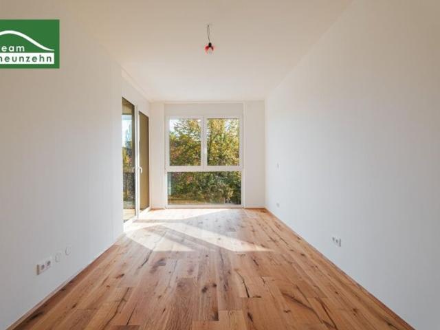 Apartment kaufen in Liesing, Wien