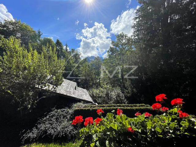 Apartment mieten in Saanen, Bern