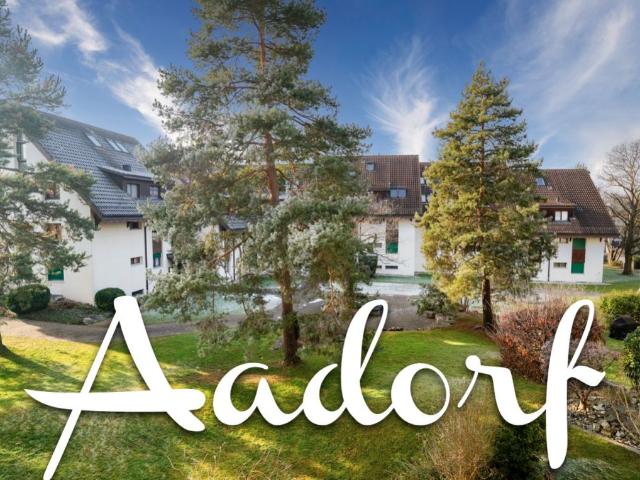 Apartment kaufen in Aadorf, Thurgau