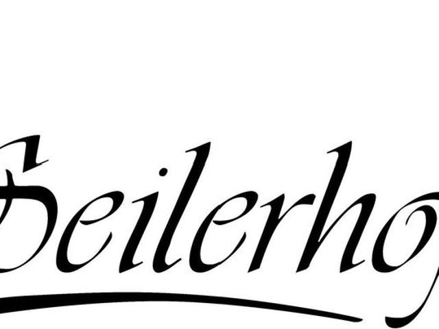 Apartment kaufen in Pasching, Oberösterreich