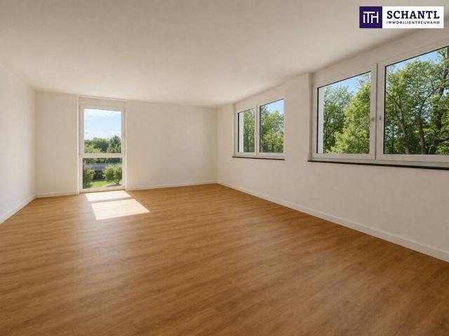 Apartment kaufen in Groß-Enzersdorf, Niederösterreich