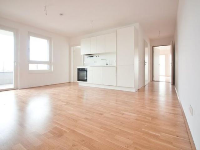Apartment mieten in KG Inzersdorf Stadt, Wien