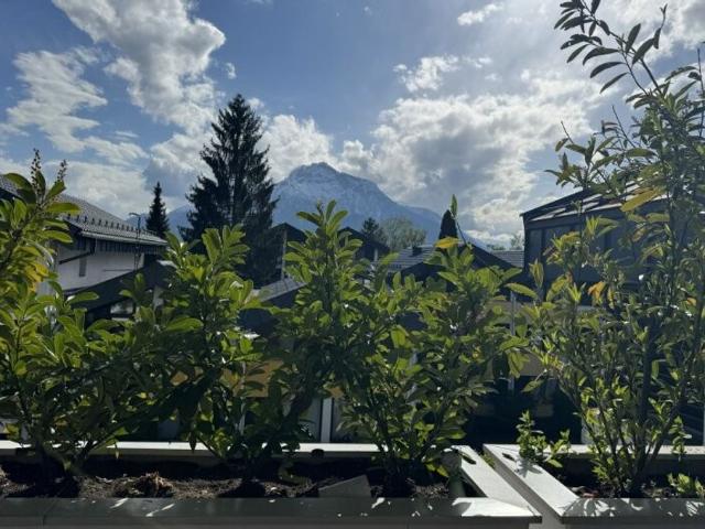 Apartment kaufen in Elsbethen, Salzburg