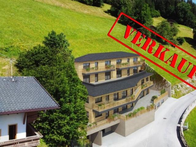 Apartment kaufen in Laimach, Hippach