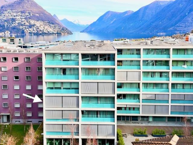 Apartment kaufen in Paradiso, Tessin