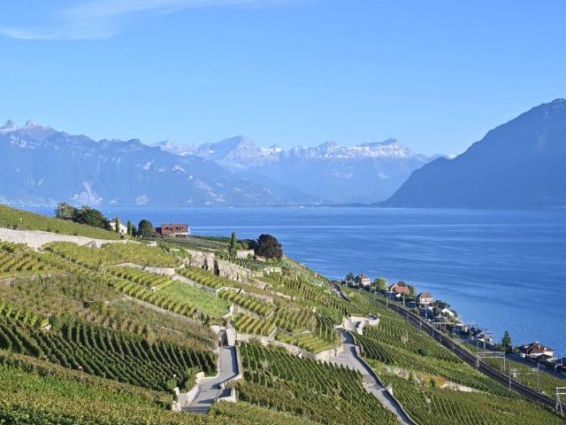 Apartment mieten in Lutry, District de Lavaux-Oron