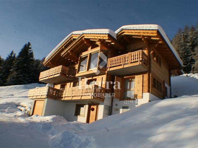 Haus kaufen in Vex, Wallis