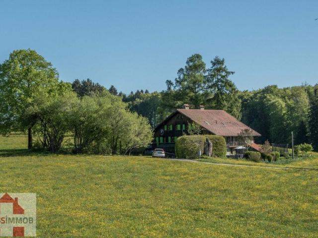 Haus kaufen in Corsier-sur-Vevey, Waadt