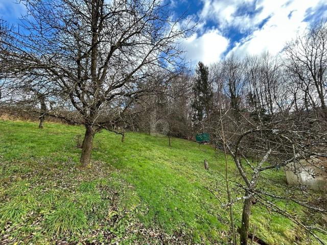 Haus kaufen in Heuberg, Koppl