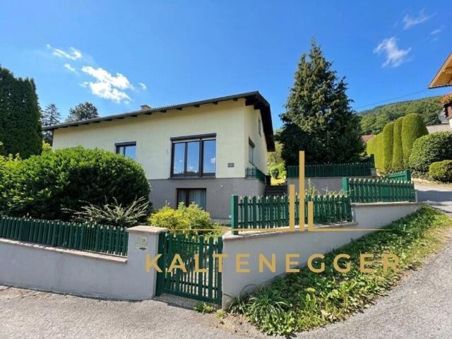 Haus kaufen in Enzenreith, Bezirk Neunkirchen