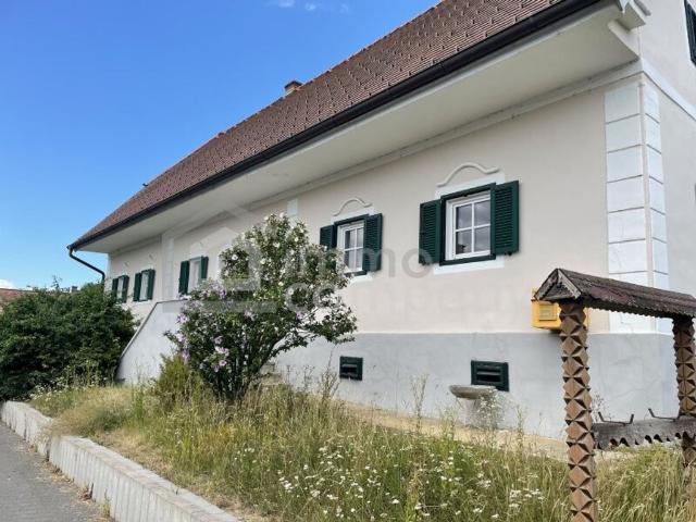 Haus kaufen in Kirchberg an der Raab, Steiermark