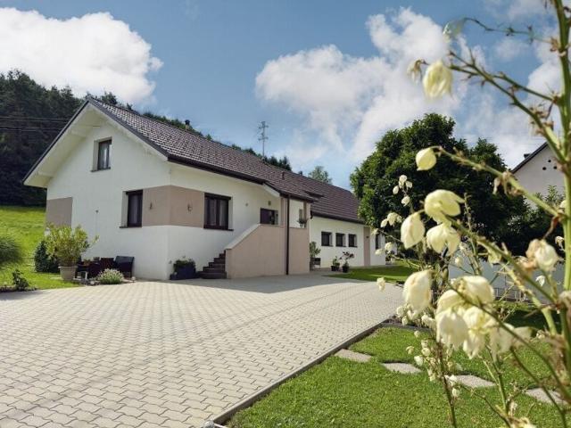 Haus kaufen in Kemeten