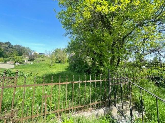 Haus kaufen in Neusiedl am See, Burgenland