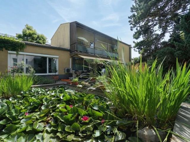 Haus kaufen in Stockerau, Bezirk Korneuburg
