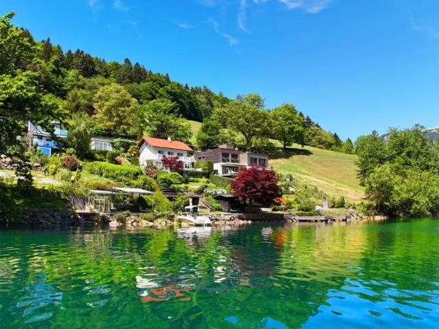 Haus kaufen in Millstatt am See, Kärnten