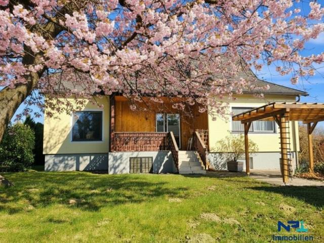 Haus kaufen in Enzesfeld-Lindabrunn, Niederösterreich