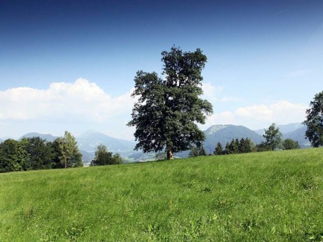 Haus kaufen in Angerberg, Tirol
