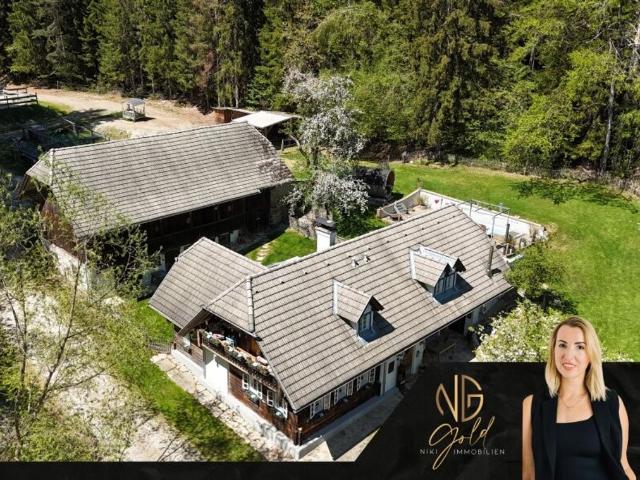 Haus kaufen in Birkfeld, Steiermark