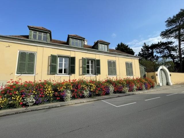 Haus kaufen in Bisamberg, Niederösterreich