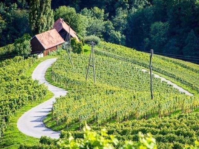 Haus kaufen in Gamlitz, Steiermark