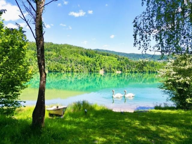 Haus kaufen in Feistritz im Rosental, Kärnten