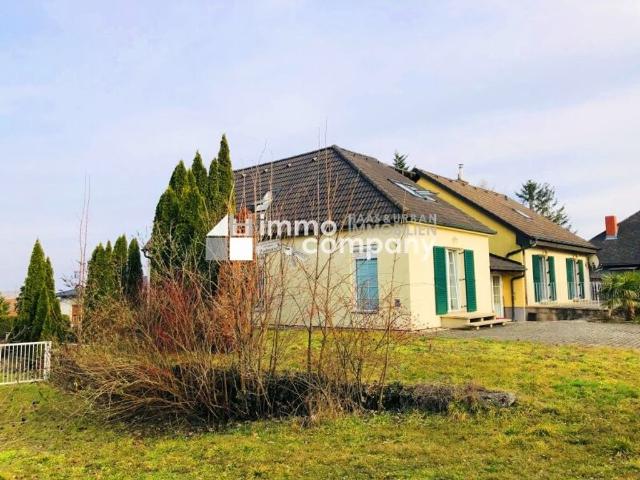 Haus kaufen in Breitenbrunn am Neusiedler See, Burgenland