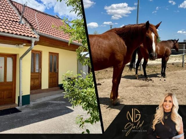 Haus kaufen in Unterfrauenhaid, Burgenland
