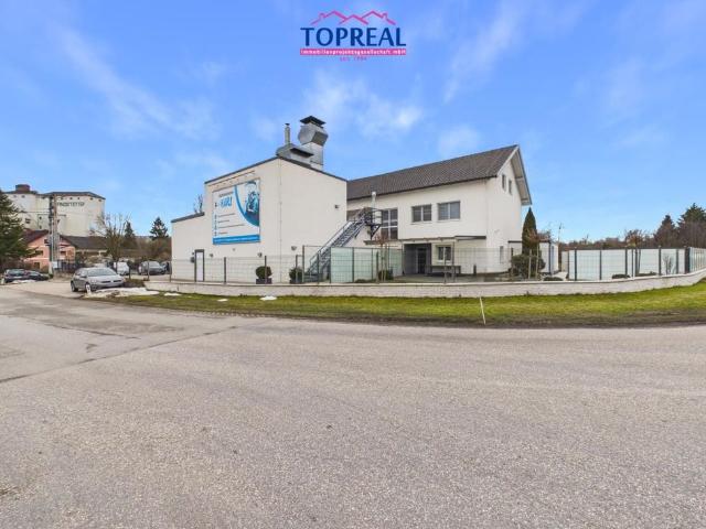 Haus kaufen in Winkelfeld, Pichl bei Wels