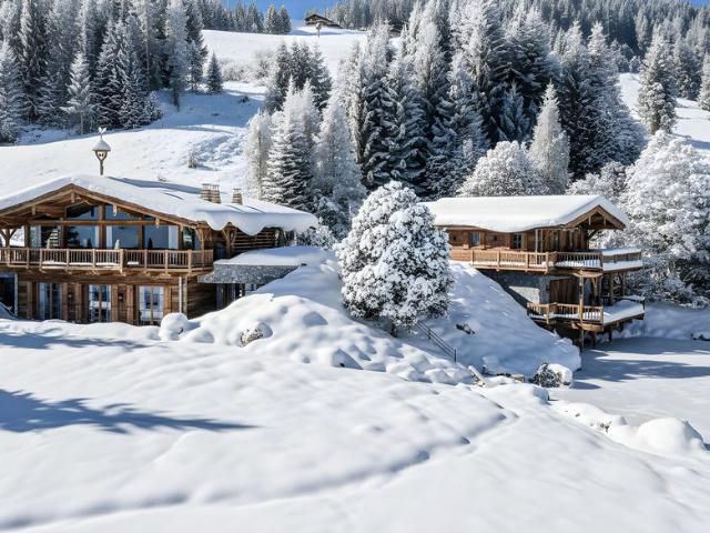 Haus kaufen in St. Johann in Tirol, Tirol