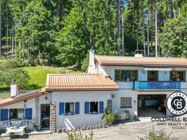 Haus kaufen in Blonay, Waadt