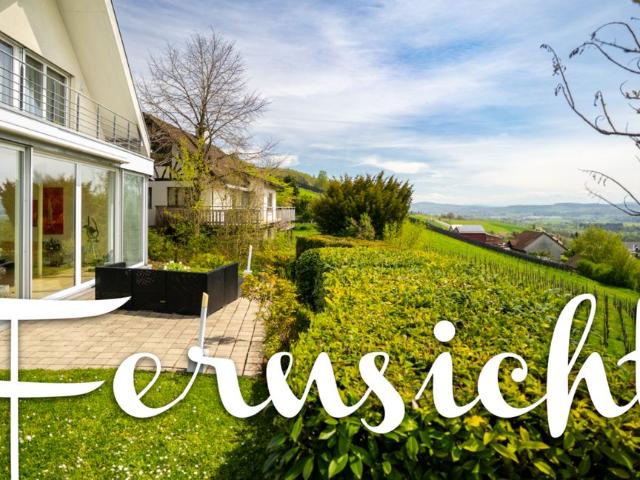 Haus kaufen in Neunforn, Thurgau