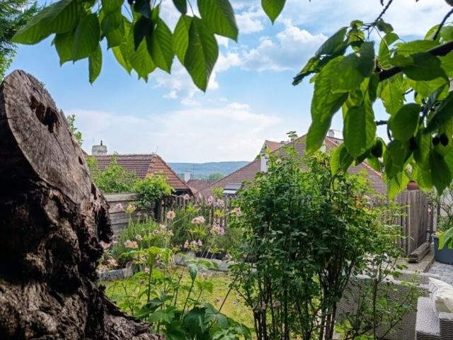 Haus kaufen in Krems an der Donau, Niederösterreich