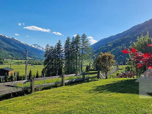 Haus kaufen in Grafschaft, Wallis