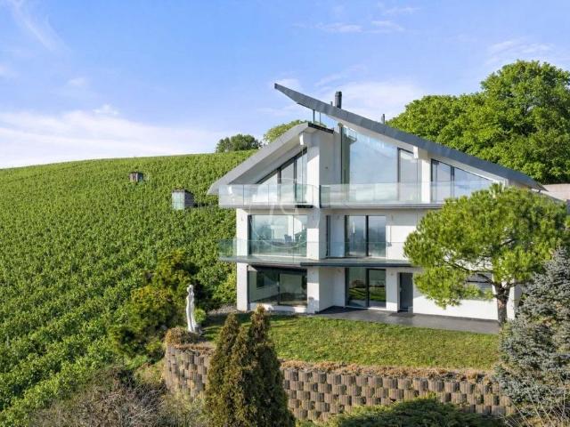 Haus kaufen in Clarmont, Waadt