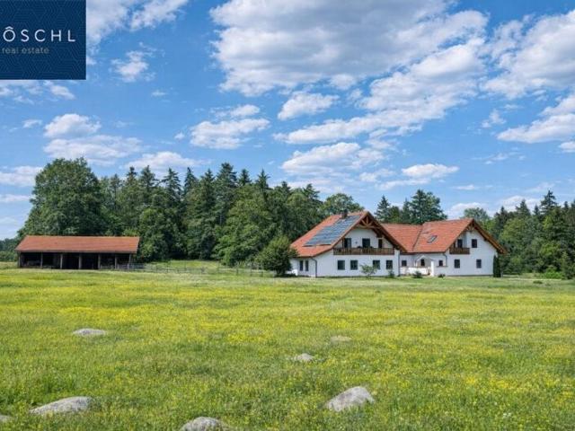Haus kaufen in Heidenreichstein, Niederösterreich