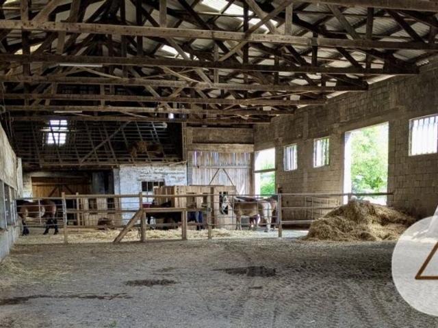 Haus kaufen in Horn, Niederösterreich