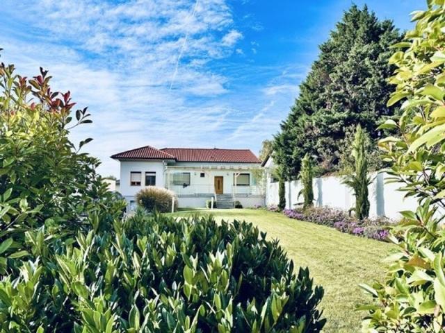 Haus kaufen in Mönchhof, Burgenland