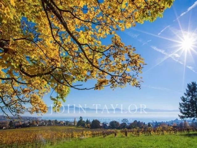 Haus kaufen in Nyon, Waadt